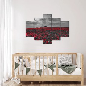 Tablou cu maci (150x105 cm)