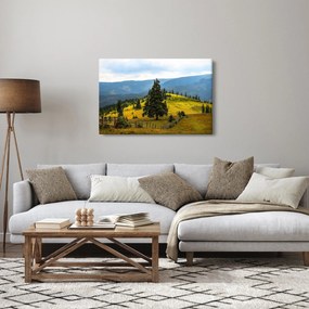 Tablou - Lunca de munte (90x60 cm)