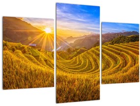 Tablou - Terasele de orez din Vietnam (90x60 cm)