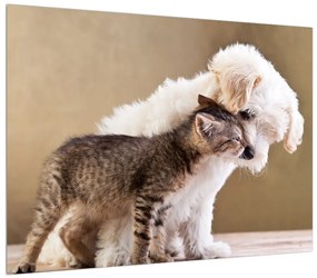 Tablou câinele cu pisica (70x50 cm), în 40 de alte dimensiuni noi