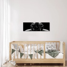 Tablou cu nud feminin (cu ceas) (90x30 cm)