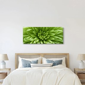 Tablou - Imagine macro a unei plante (120x50 cm)