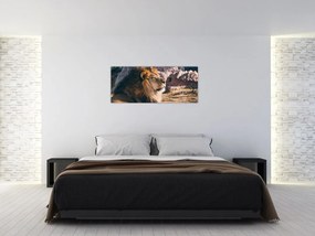 Tablou cu leul dormind (120x50 cm)