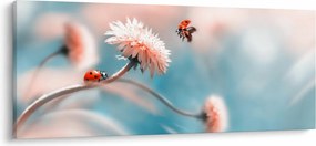Tablou - Buburuze pe floare (120x50 cm)