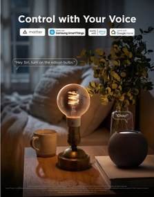 Govee - Bec LED RGBWW dimabil Smart MATTER G80 E27/5W/230V 2700-6500K Wi-Fi
