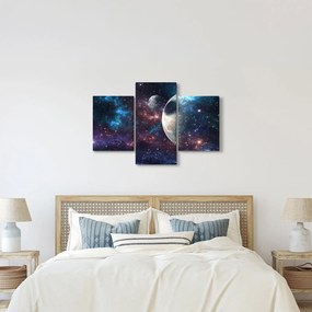 Tablou cu cosmos (90x60 cm)