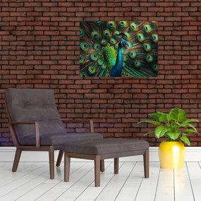 Tablou – Păun (70x50 cm)