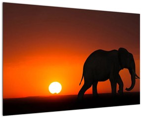 Tablou cu elefant în apus de soare (90x60 cm)