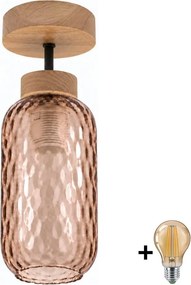 BRILAGI - LED Lustră aplicată R GLASS 1xE27/60W/230V Ø 14 cm stejar/maro fumuriu