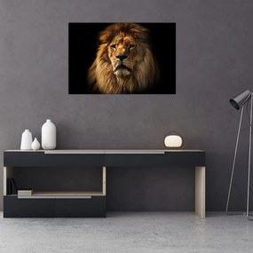 Tablou - Leu cu o coamă bogată (90x60 cm)