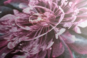 Tablou floare magică roz