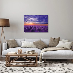 Tablou pe sticlă câmpului cu lavandă (70x50 cm)