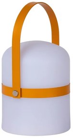 Lampă LED dimabilă de exterior Lucide 06802/01/43 LITTLE JOE LED/0,3W/3,7V IP44