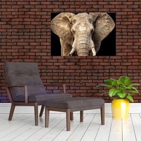 Tablou - Elefant african (90x60 cm)
