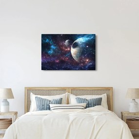 Tablou cu cosmos (90x60 cm)