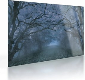 Tablou pe sticlă - Pădurea în ceață (70x50 cm)