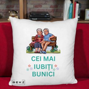 Cadou pentru Bunici - Perna Personalizata Cei Mai Iubiti Bunici Cuplu pe Banca Ilustratie, 40x40 cm, Alb Pufos, Husa Detasabila, Perna Inclusa, BEKZ®
