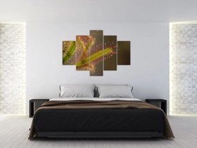 Tablou cu plantă (150x105 cm)