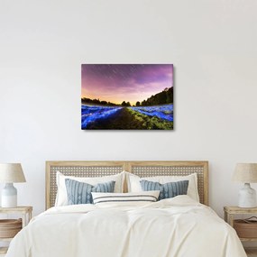 Tablou cu câmp colorat (70x50 cm)