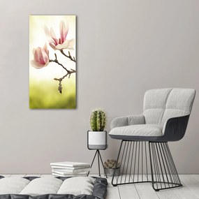Imprimare tablou canvas Flori magnolia