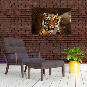 Tablou cu tigrul (90x60 cm)