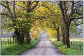 Tablou - Smoky Mountains, Gatlinburg, SUA (90x60 cm)
