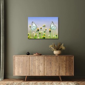 Tablou cu fluture pe floare (70x50 cm)