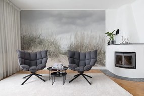 Fototapet, Pale Shore, Rebel Walls