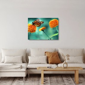 Tablou pe sticlă cu fluture (70x50 cm)