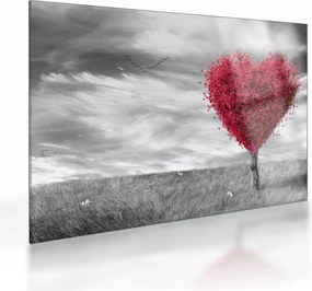 Tablou pe sticlă -Inima din coroanele copacilor (70x50 cm)