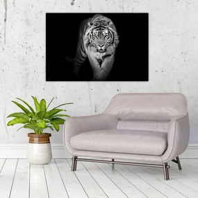 Tablou - Tigru cu ochi galbeni (90x60 cm)