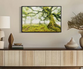 Mauro Ferretti Pictura Pe Panza, Lacuita, Cu Rama, Padure Cm 90X4X58 | Aosom Romania