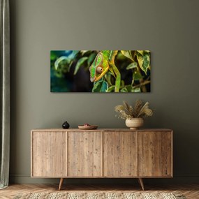 Tablou cu cameleon (120x50 cm)