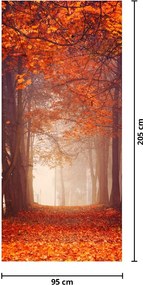 Fototapet pentru ușă - Pădurea toamna (95x205cm)