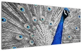 Tablou - păun albastru (120x50 cm), în 40 de alte dimensiuni noi
