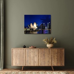 Tablou Singapore nocturn (70x50 cm)