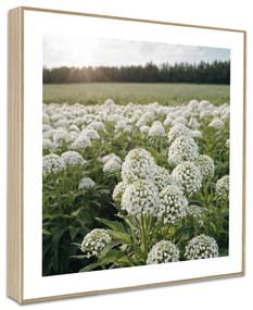 Tablouri 4 buc. 30x30 cm Sunrise Hike – knor