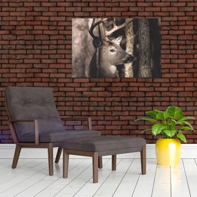 Tablou - Cerb în pădure (90x60 cm)