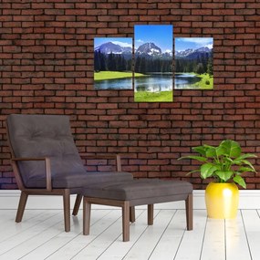 Tablou - vâfurile montane înzăpezite (90x60 cm)