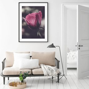 Poster - Floarea de trandafir (A4)