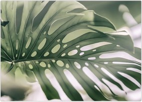 Tablou - Lista de monștri (70x50 cm)