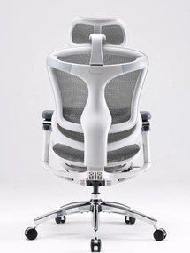Scaun Ergonomic SIHOO Doro C300 Pro M102, Suport Lombar Adaptiv Inteligent, Spătar Reglabil pe Înălțime, Tetieră 3D, Cotiere 6D PU, Șezut Glisant, Reclinare 135°, Mesh, Gri