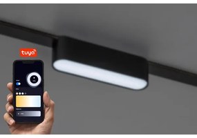 Plafonieră LED dimabilă pentru sistem de șină monofazic Rabalux 70122 LiTrack 6W/24V 11,5 cm