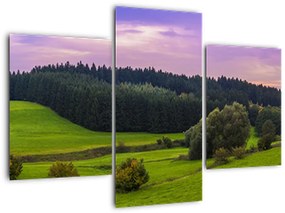 Tablou cu lunca (90x60 cm)