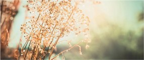 Tablou - Plante de luncă (120x50 cm)