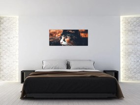 Tablou - Privirea pisicii (120x50 cm)