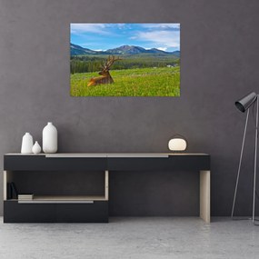 Tablou - Cerb în luncă (90x60 cm)