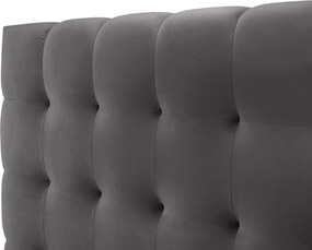 Pat tapitat cu tablie si lada depozitare, Mamaia, Micadoni Home, BL, 180x200 cm, catifea, gri