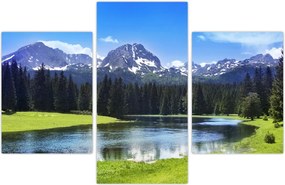 Tablou - vâfurile montane înzăpezite (90x60 cm)