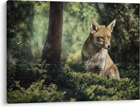Tablou cu vulpe (70x50 cm)